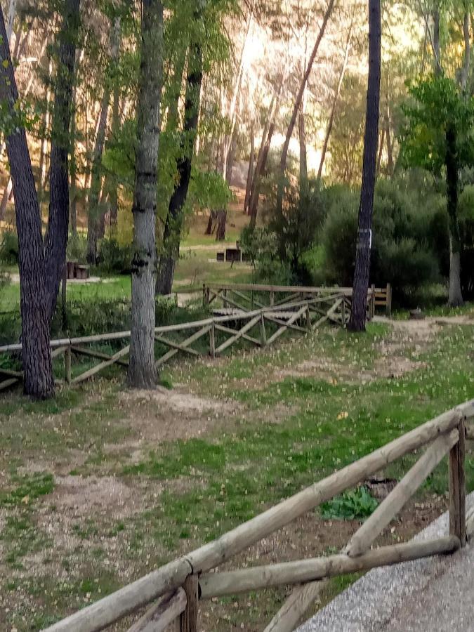 Affittacamere Casa Pinos Siles Esterno foto